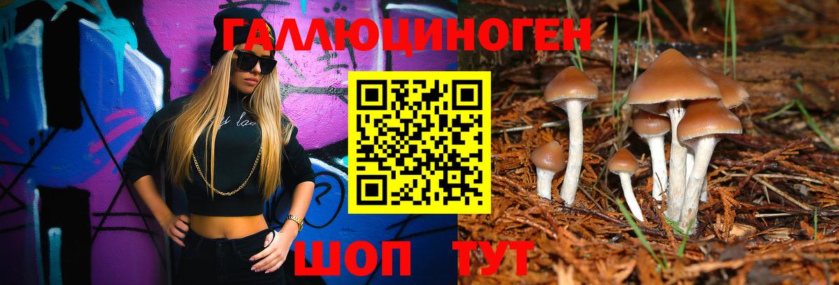 Псилоцибиновые грибы прущие грибы  Вход с VPN  Ачхой-Мартан 
